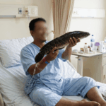 Manfaat Albumin Ikan Gabus dan Gamat Emas untuk Mempercepat Pengeringan Bekas Jahitan Operasi